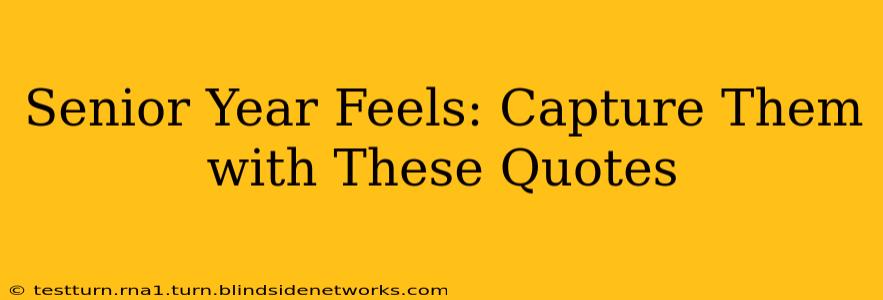 Senior Year Feels: Capture Them with These Quotes