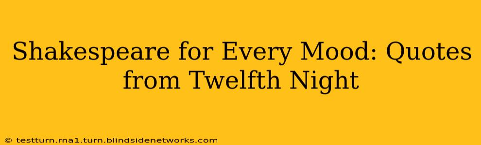 Shakespeare for Every Mood: Quotes from Twelfth Night