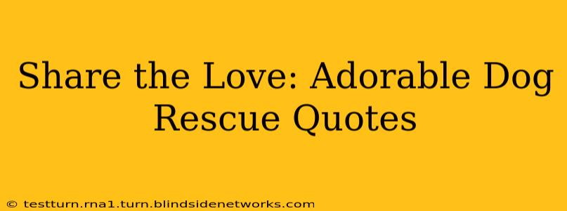 Share the Love: Adorable Dog Rescue Quotes