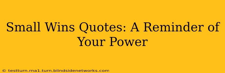 Small Wins Quotes: A Reminder of Your Power
