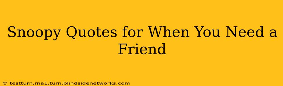 Snoopy Quotes for When You Need a Friend