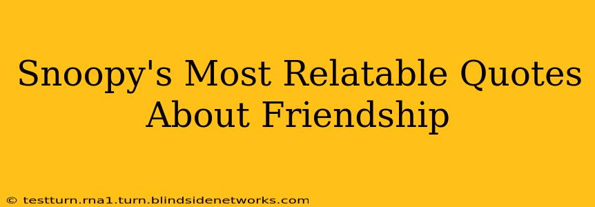 Snoopy's Most Relatable Quotes About Friendship