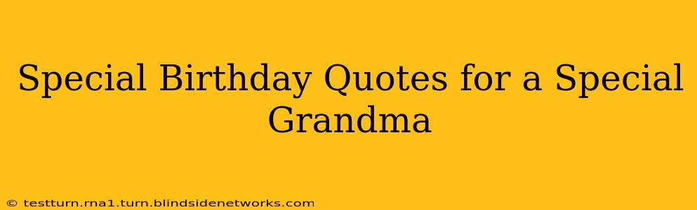 Special Birthday Quotes for a Special Grandma