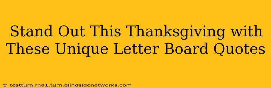 Stand Out This Thanksgiving with These Unique Letter Board Quotes