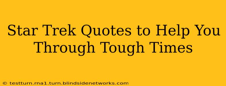 Star Trek Quotes to Help You Through Tough Times