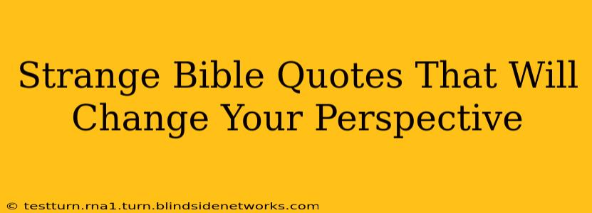 Strange Bible Quotes That Will Change Your Perspective