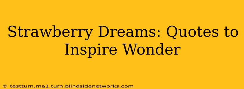 Strawberry Dreams: Quotes to Inspire Wonder
