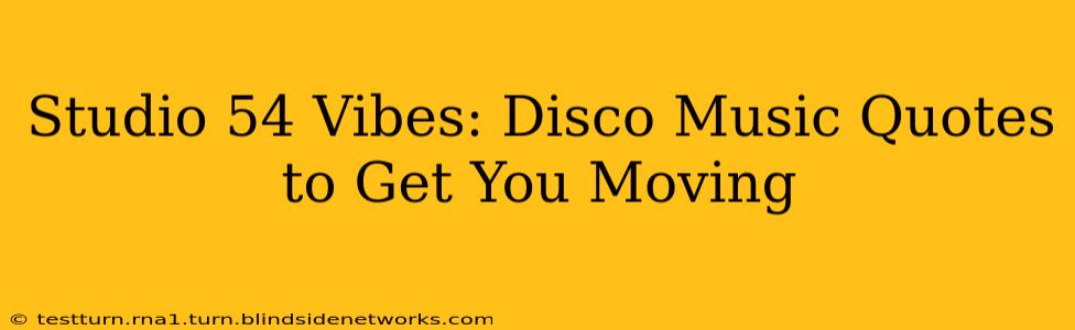 Studio 54 Vibes: Disco Music Quotes to Get You Moving