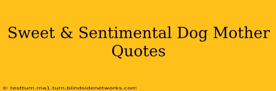 Sweet & Sentimental Dog Mother Quotes