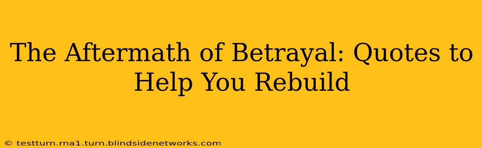 The Aftermath of Betrayal: Quotes to Help You Rebuild
