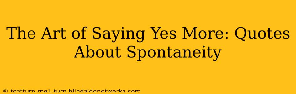 The Art of Saying Yes More: Quotes About Spontaneity