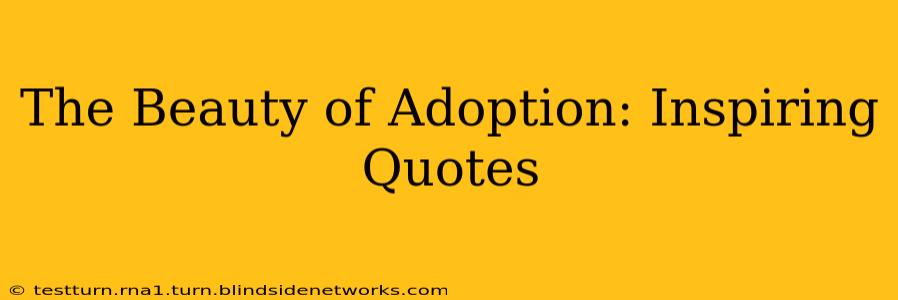 The Beauty of Adoption: Inspiring Quotes