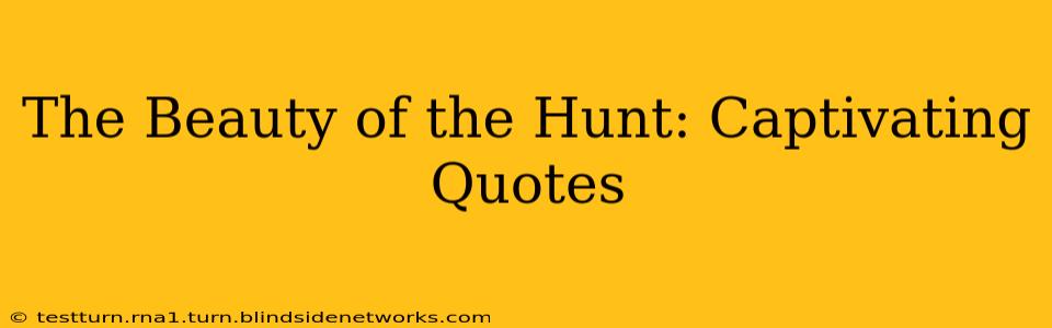 The Beauty of the Hunt: Captivating Quotes