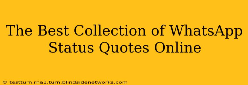 The Best Collection of WhatsApp Status Quotes Online