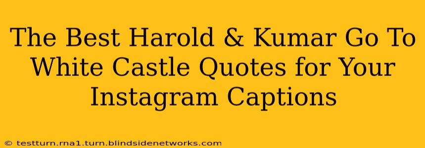 The Best Harold & Kumar Go To White Castle Quotes for Your Instagram Captions