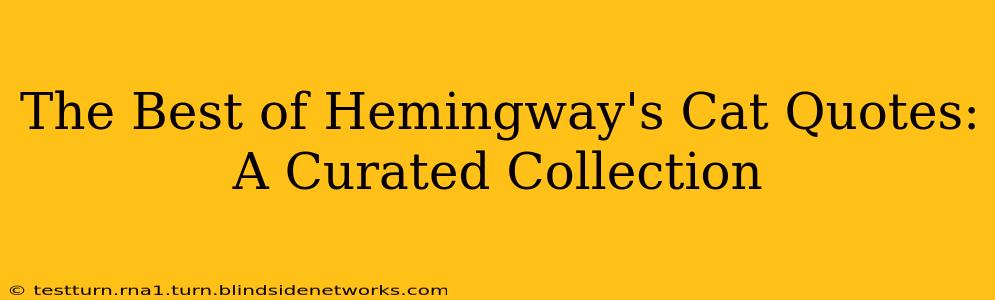 The Best of Hemingway's Cat Quotes: A Curated Collection