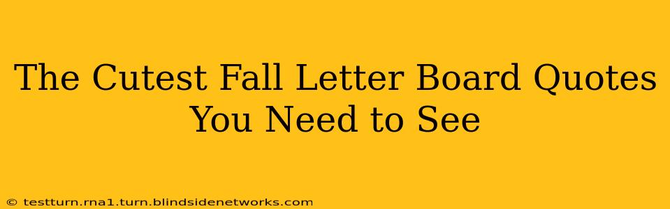 The Cutest Fall Letter Board Quotes You Need to See