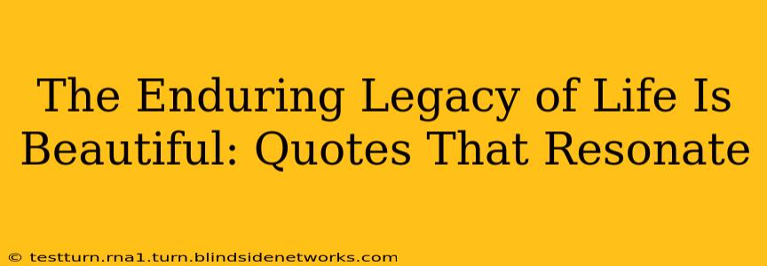 The Enduring Legacy of Life Is Beautiful: Quotes That Resonate