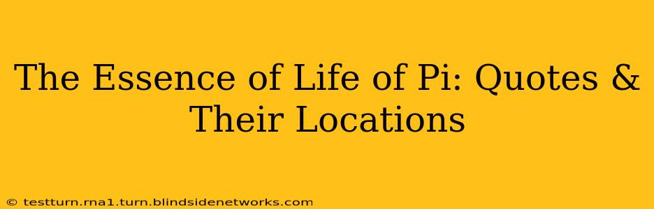 The Essence of Life of Pi: Quotes & Their Locations