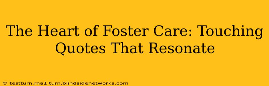 The Heart of Foster Care: Touching Quotes That Resonate
