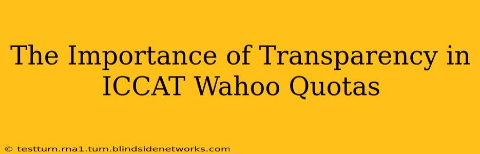 The Importance of Transparency in ICCAT Wahoo Quotas