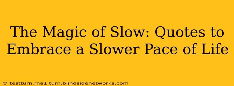 The Magic of Slow: Quotes to Embrace a Slower Pace of Life
