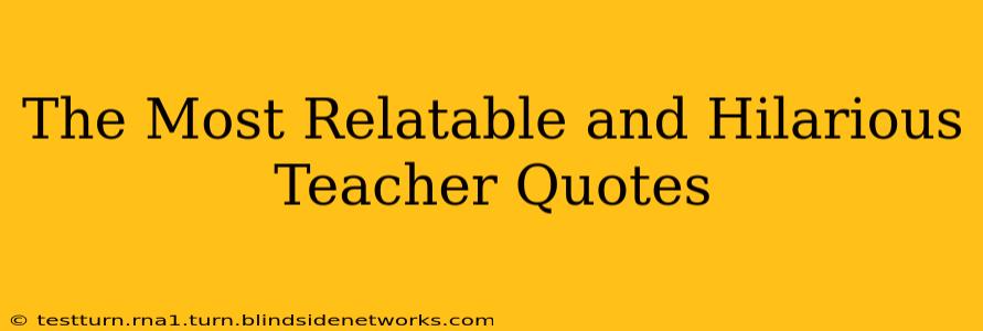 The Most Relatable and Hilarious Teacher Quotes