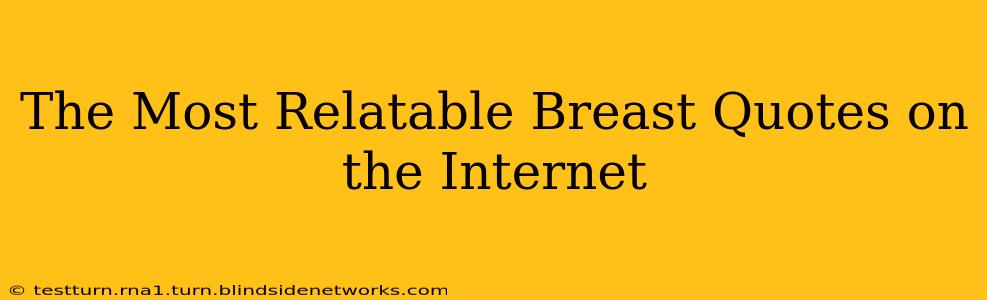 The Most Relatable Breast Quotes on the Internet