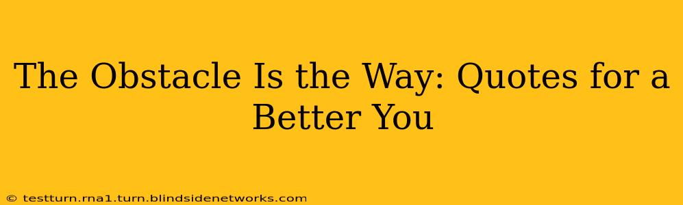 The Obstacle Is the Way: Quotes for a Better You