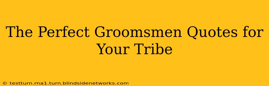The Perfect Groomsmen Quotes for Your Tribe