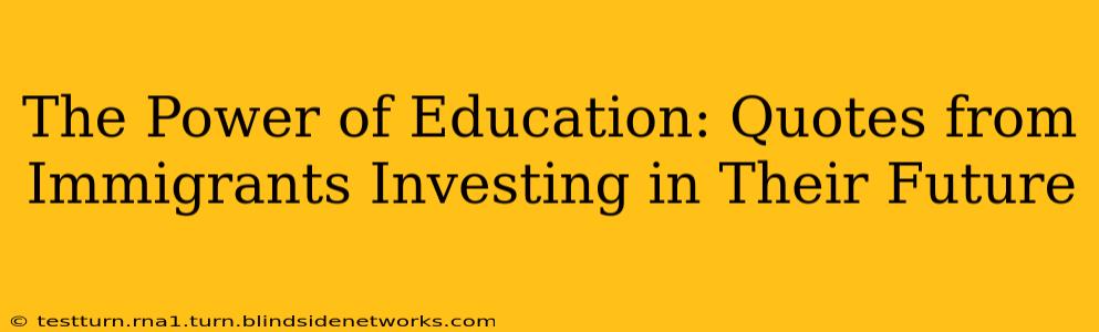 The Power of Education: Quotes from Immigrants Investing in Their Future