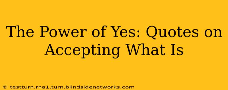 The Power of Yes: Quotes on Accepting What Is