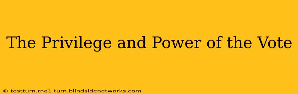 The Privilege and Power of the Vote
