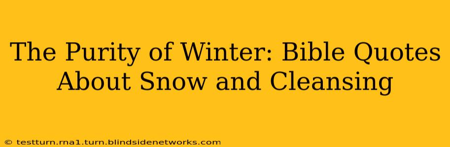 The Purity of Winter: Bible Quotes About Snow and Cleansing