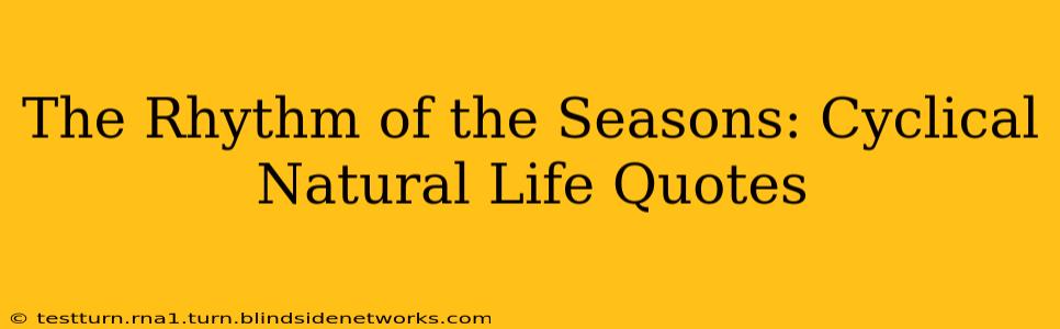 The Rhythm of the Seasons: Cyclical Natural Life Quotes