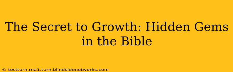 The Secret to Growth: Hidden Gems in the Bible
