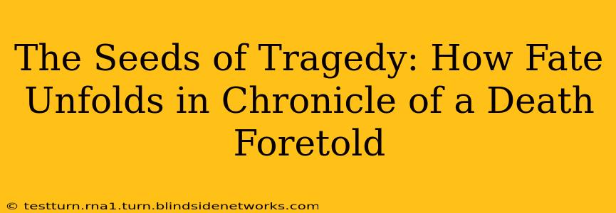 The Seeds of Tragedy: How Fate Unfolds in Chronicle of a Death Foretold
