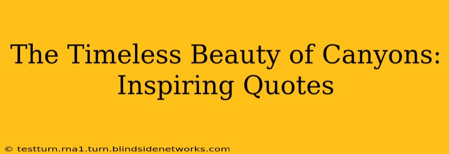 The Timeless Beauty of Canyons: Inspiring Quotes