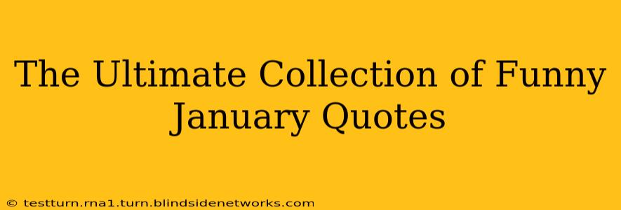 The Ultimate Collection of Funny January Quotes