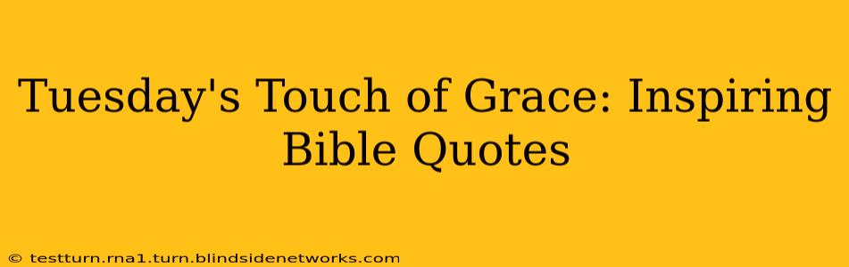 Tuesday's Touch of Grace: Inspiring Bible Quotes