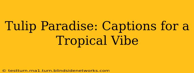 Tulip Paradise: Captions for a Tropical Vibe