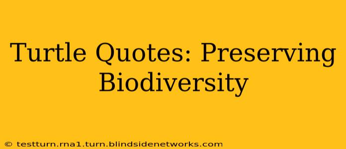 Turtle Quotes: Preserving Biodiversity
