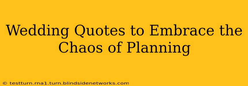 Wedding Quotes to Embrace the Chaos of Planning