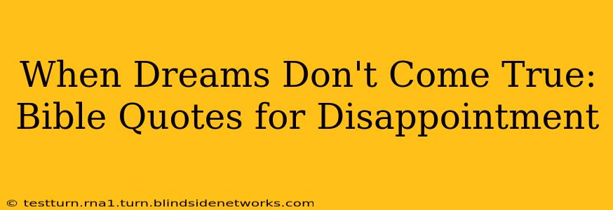When Dreams Don't Come True: Bible Quotes for Disappointment