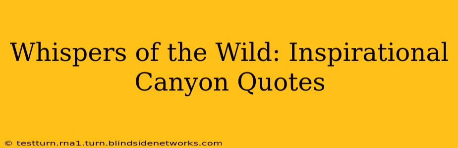 Whispers of the Wild: Inspirational Canyon Quotes
