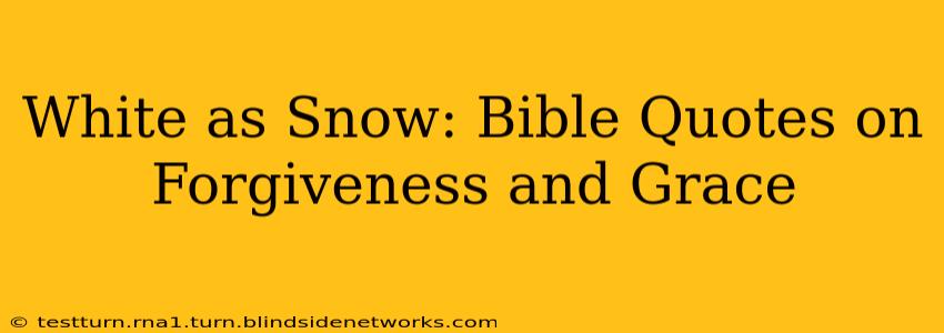 White as Snow: Bible Quotes on Forgiveness and Grace