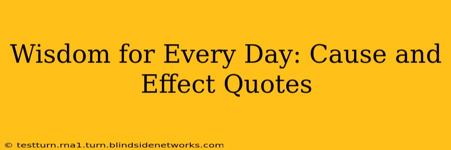 Wisdom for Every Day: Cause and Effect Quotes