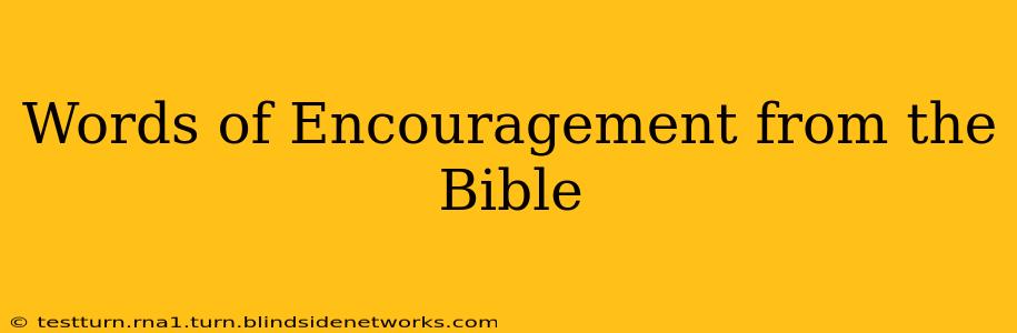 Words of Encouragement from the Bible