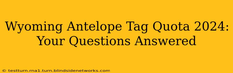 Wyoming Antelope Tag Quota 2024: Your Questions Answered