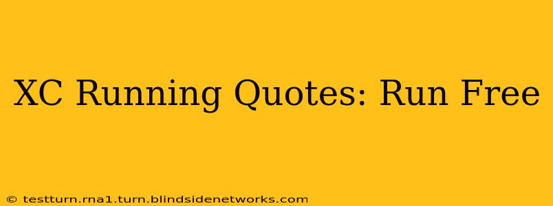 XC Running Quotes: Run Free